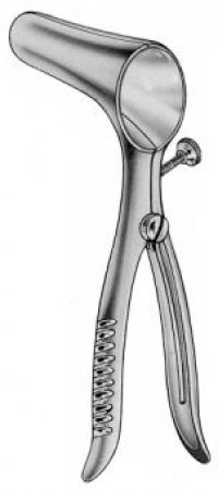 Rectum