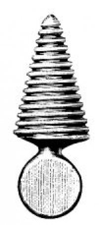 Oral Instruments