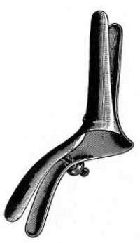 Rectum