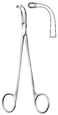 Gall Bladder
