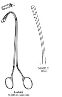 Gall Bladder