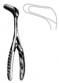 Rhinology
