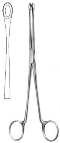 Gall Bladder