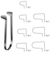 Rhinology