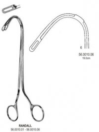 Gall Bladder