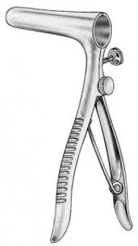 Rectum